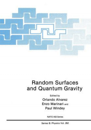 Knjiga Random Surfaces and Quantum Gravity Orlando Alvarez