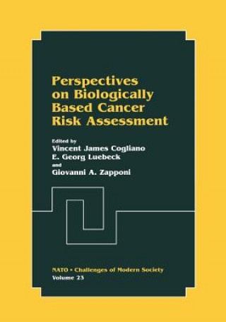 Kniha Perspectives on Biologically Based Cancer Risk Assessment Vincent James Cogliano