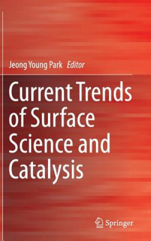 Knjiga Current Trends of Surface Science and Catalysis Jeong Young Park