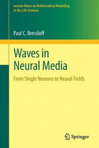 Könyv Waves in Neural Media Paul C. Bressloff