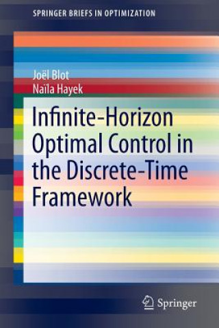 Książka Infinite-Horizon Optimal Control in the Discrete-Time Framework Joël Blot