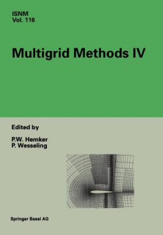 Libro Multigrid Methods IV P.W. Hemker