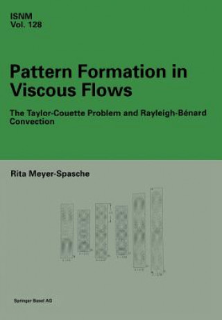 Carte Pattern Formation in Viscous Flows Rita Meyer-Spasche