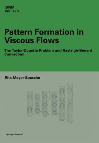 Könyv Pattern Formation in Viscous Flows Rita Meyer-Spasche