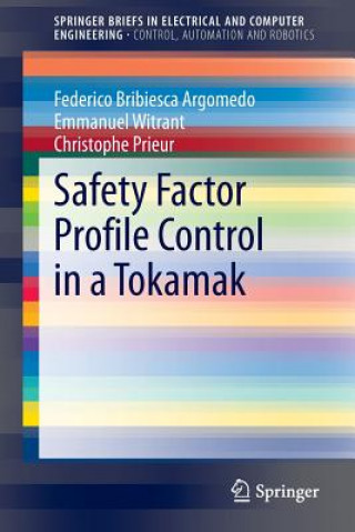 Kniha Safety Factor Profile Control in a Tokamak Federico Bribiesca Argomedo