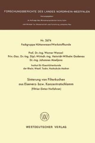 Kniha Sinterung Von Filterkuchen Aus Eisenerz- Bzw. Konzentratschlamm Werner Wenzel