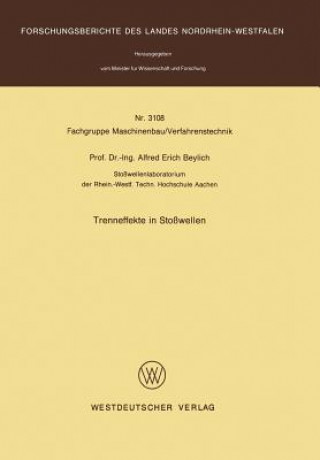 Kniha Trenneffekte in Stosswellen Alfred E. Beylich