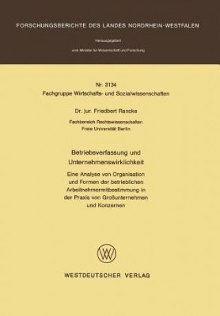 Book Betriebsverfassung Und Unternehmenswirklichkeit Friedbert Rancke