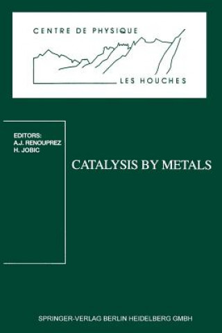 Livre Catalysis by Metals Albert Jean Renouprez