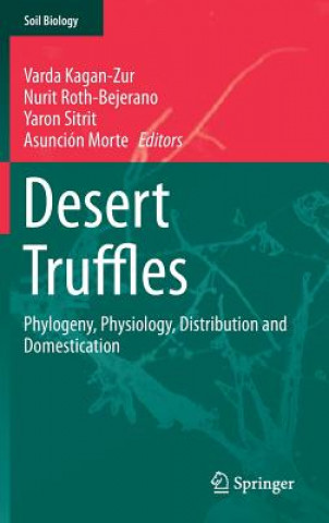 Kniha Desert Truffles Varda Kagan Zur