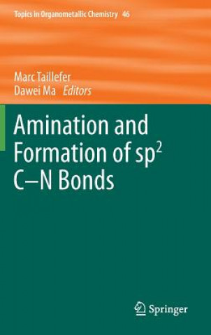 Książka Amination and Formation of sp2 C-N Bonds Marc Taillefer