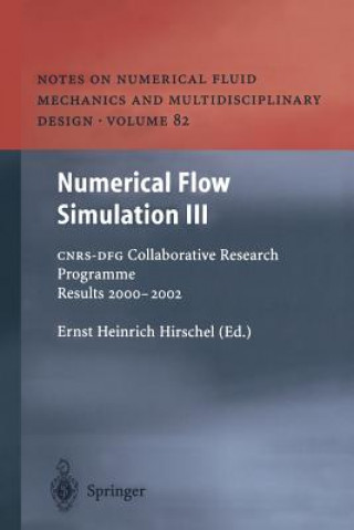 Kniha Numerical Flow Simulation III Ernst Heinrich Hirschel