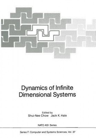 Книга Dynamics of Infinite Dimensional Systems, 1 Shui-Nee Chow