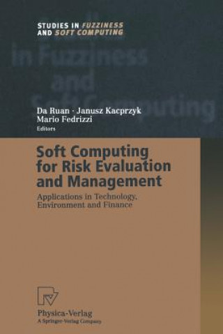 Книга Soft Computing for Risk Evaluation and Management Da Ruan