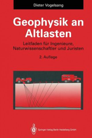 Книга Geophysik an Altlasten Dieter Vogelsang