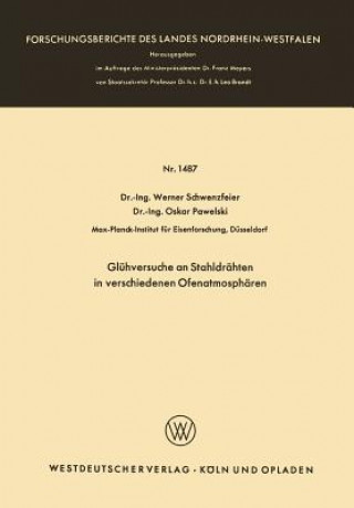 Könyv Gl hversuche an Stahldr hten in Verschiedenen Ofenatmosph ren Werner Schwenzfeier