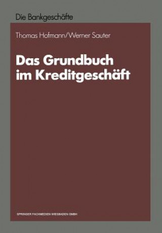 Kniha Das Grundbuch Im Kreditgeschaft Werner Sauter