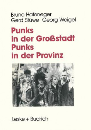 Buch Punks in Der Grossstadt -- Punks in Der Provinz Benno Hafeneger