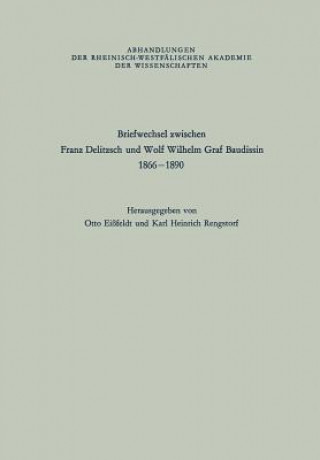 Kniha Briefwechsel Zwischen Franz Delitzsch Und Wolf Wilhelm Graf Baudissin Franz Delitzsch