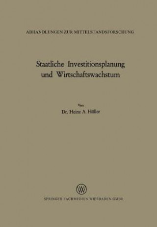 Kniha Staatliche Investitionsplanung Und Wirtschaftswachstum Heinz A. Höller