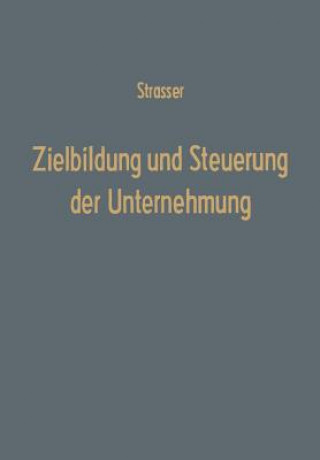 Книга Zielbildung Und Steuerung Der Unternehmung Helge Strasser