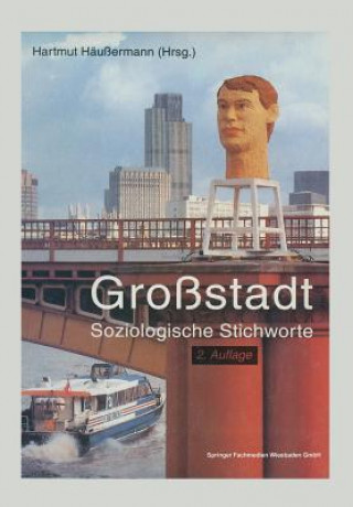 Book Gro stadt Hartmut Häussermann