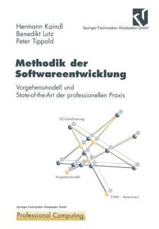 Könyv Methodik der Softwareentwicklung, 1 Benedikt Lutz