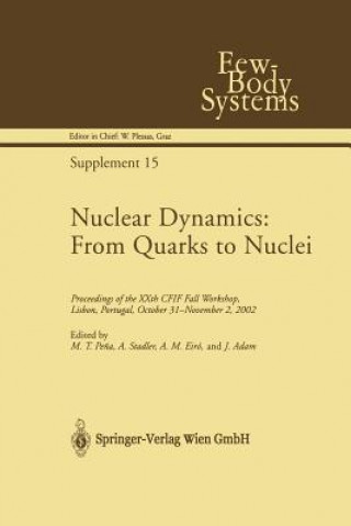 Kniha Nuclear Dynamics: From Quarks to Nuclei M.T. Pena