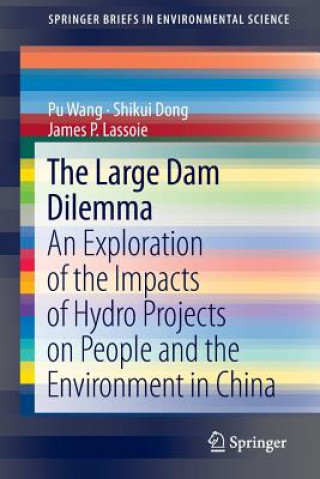 Kniha Large Dam Dilemma Pu Wang