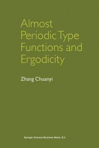 Buch Almost Periodic Type Functions and Ergodicity, 1 hang Chuanyi