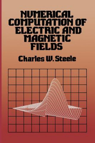 Kniha Numerical Computation of Electric and Magnetic Fields Charles W. Steele