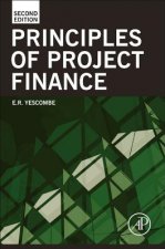 Kniha Principles of Project Finance E R Yescombe