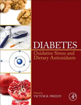 Kniha Diabetes Victor Preedy