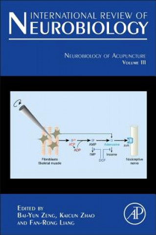 Kniha Neurobiology of Acupuncture Bai-Yun Zeng