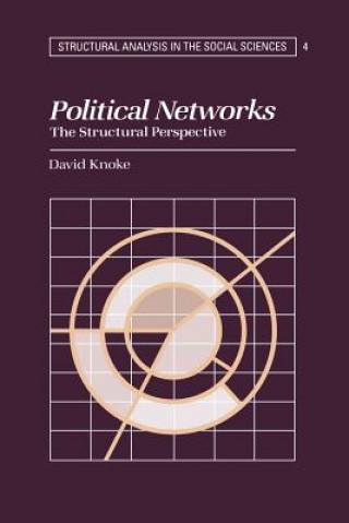 Kniha Political Networks David Knoke