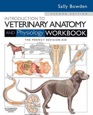 Knjiga Introduction to Veterinary Anatomy and Physiology Workbook Sally J Bowden