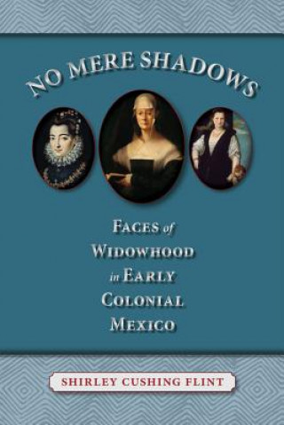 Book No Mere Shadows Shirley Cushing Flint