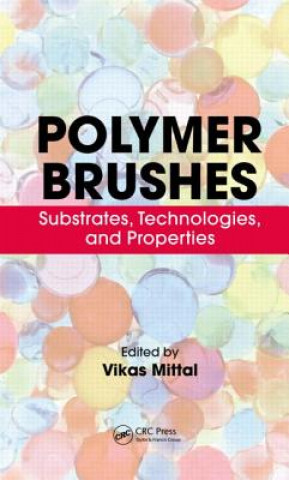 Kniha Polymer Brushes Vikas Mittal