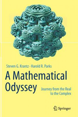 Carte Mathematical Odyssey Steven G. Krantz