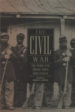 Kniha Civil War Brooks D Simpson