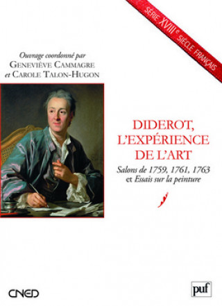 Könyv Diderot L'Experience De L'art 
