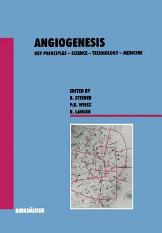 Könyv Angiogenesis teiner