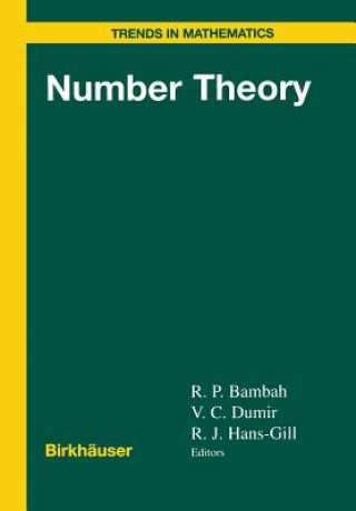 Kniha Number Theory R.P. Bambah