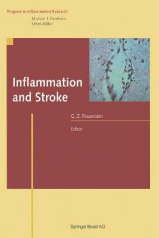 Kniha Inflammation and Stroke Giora Z. Feuerstein