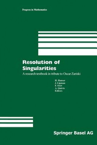 Könyv Resolution of Singularities Herwig Hauser