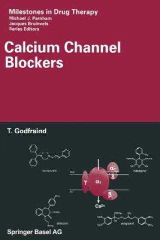 Kniha Calcium Channel Blockers Théophile Godfraind