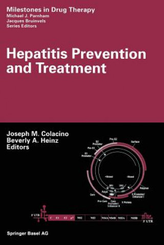 Kniha Hepatitis Prevention and Treatment Joseph M. Colacino