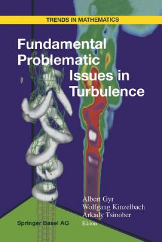 Livre Fundamental Problematic Issues in Turbulence Albert Gyr