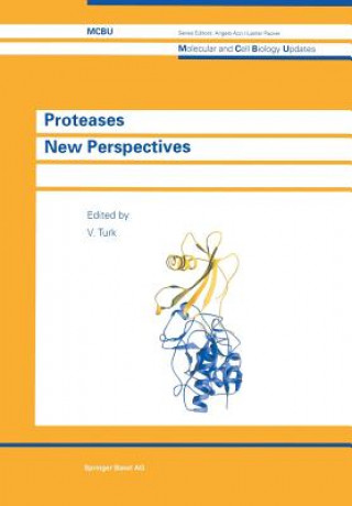 Kniha Proteases New Perspectives Vito Turk