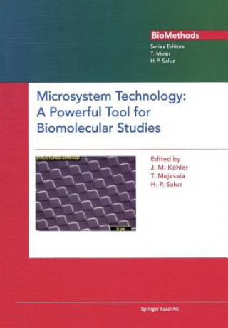 Kniha Microsystem Technology Hans-Peter Saluz